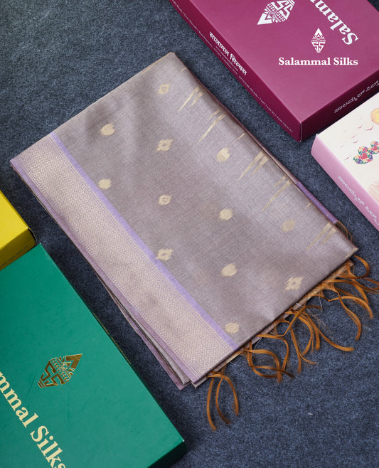 Light Chocolate Semi Tussar Silk Saree With Contrast Lavender Border
