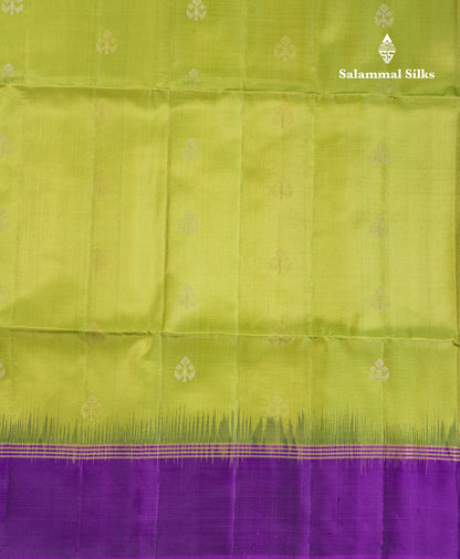 Beautiful Manthulir Green Pure Kanjivaram Soft Silk Saree With Contrast Dark Purple Fancy Border