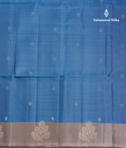 Beautiful Dual Tone Peacock Blue PureMix Kanjivaram Soft Silk Saree With Contrast Light Violet Blouse