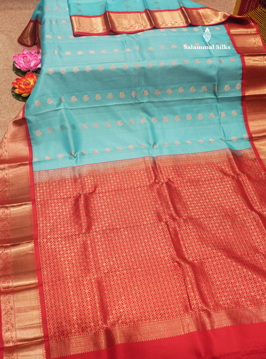 Sky Blue Colour Pure Kanjivaram Silk Saree With Contrast Red Border