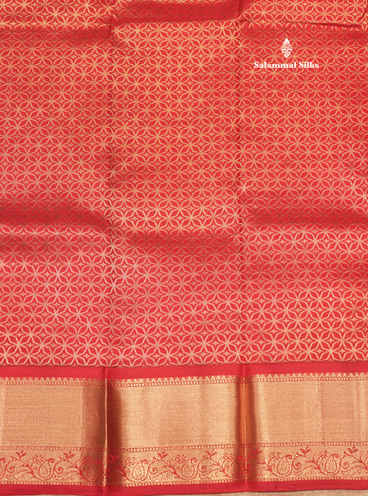 Sky Blue Colour Pure Kanjivaram Silk Saree With Contrast Red Border