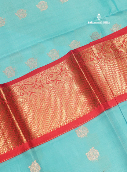 Sky Blue Colour Pure Kanjivaram Silk Saree With Contrast Red Border