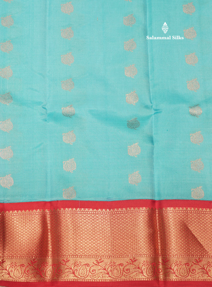 Sky Blue Colour Pure Kanjivaram Silk Saree With Contrast Red Border