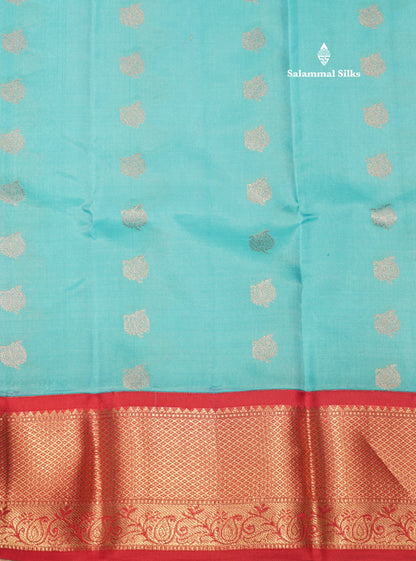 Sky Blue Colour Pure Kanjivaram Silk Saree With Contrast Red Border