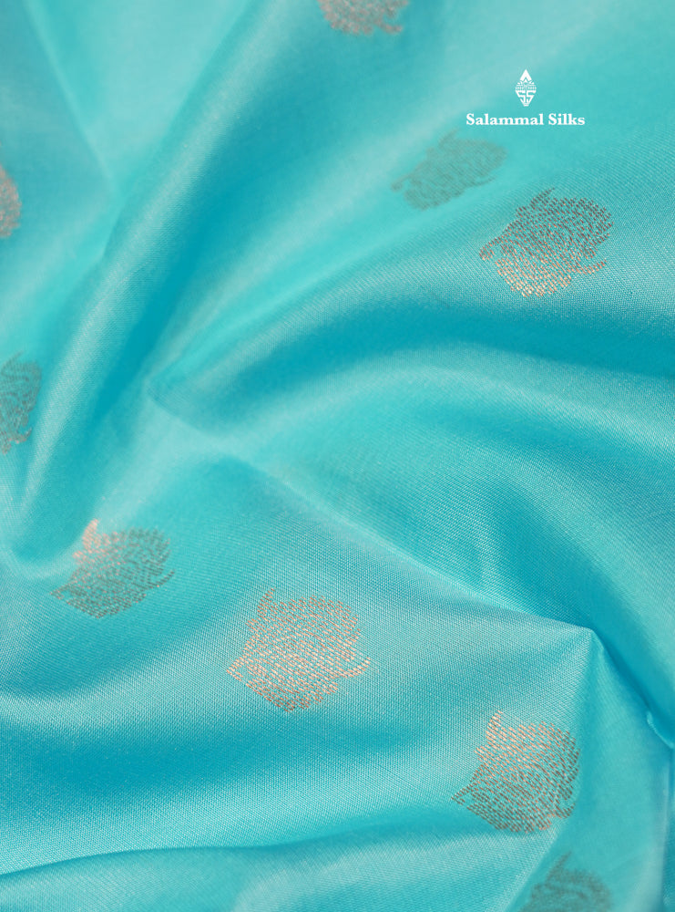 Sky Blue Colour Pure Kanjivaram Silk Saree With Contrast Red Border