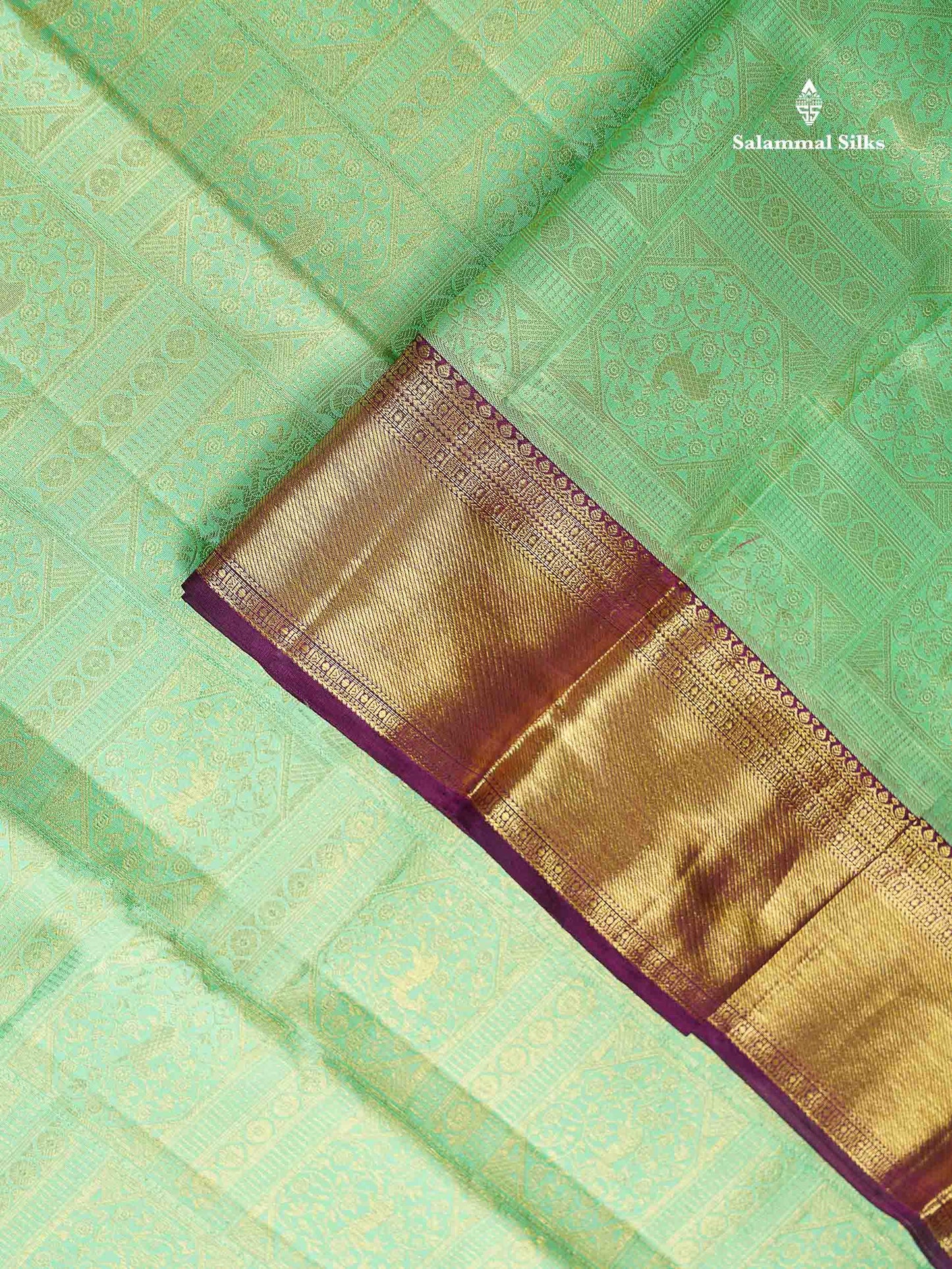 Bridal Pure Mix Silk Saree - Light Pista Green Colour Body With Contrast Dark Purple Traditional Evening Morning Border