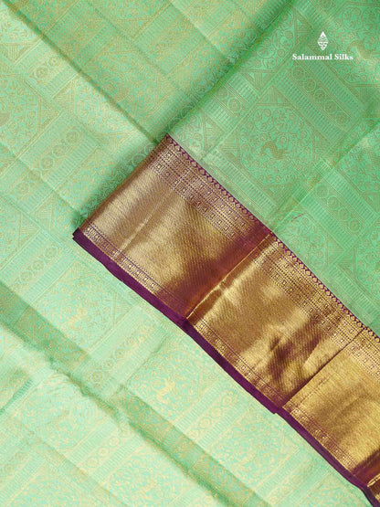 Bridal Pure Mix Silk Saree - Light Pista Green Colour Body With Contrast Dark Purple Traditional Evening Morning Border