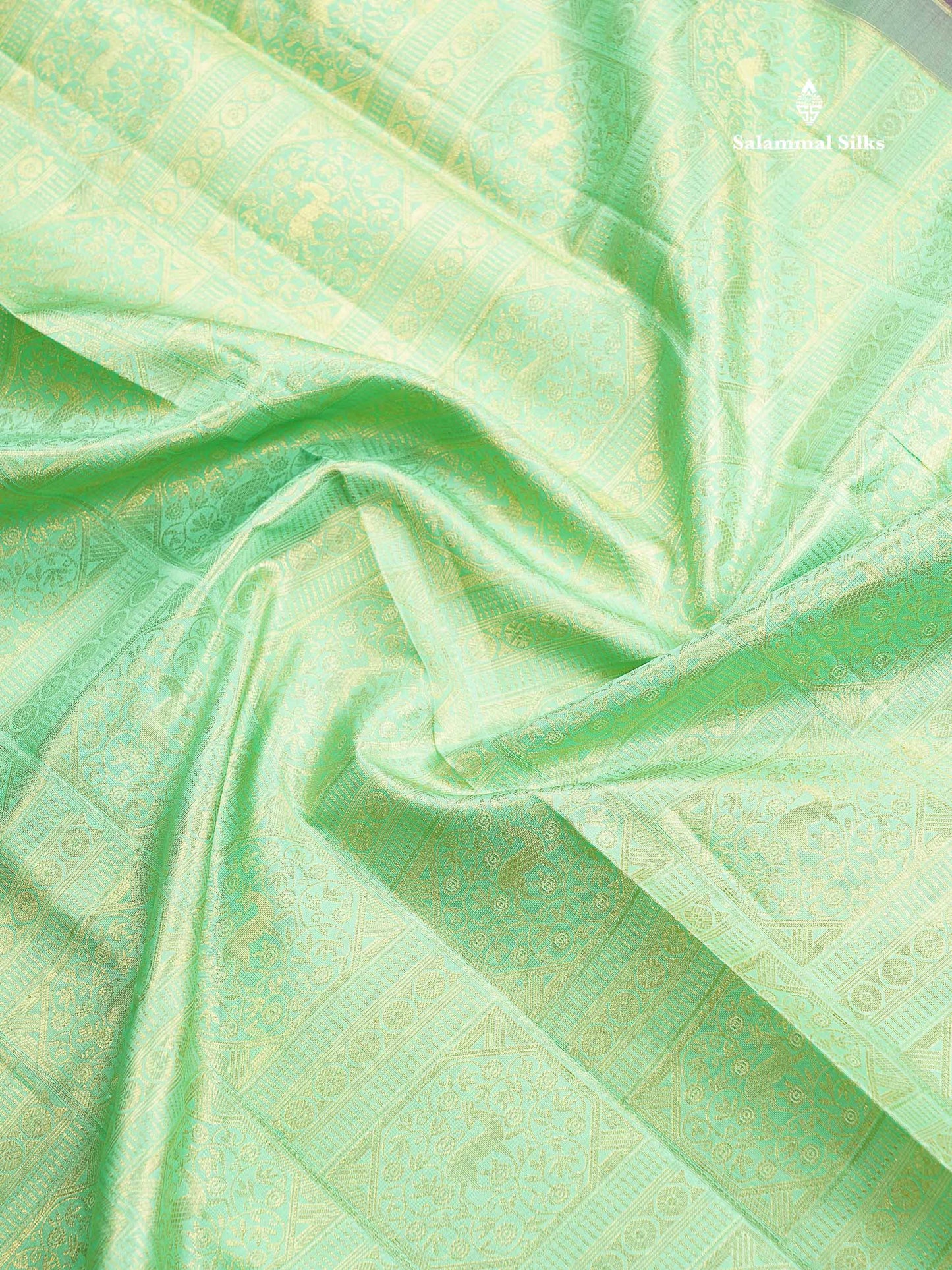 Bridal Pure Mix Silk Saree - Light Pista Green Colour Body With Contrast Dark Purple Traditional Evening Morning Border