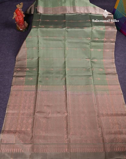 Beautiful Light Pista Green Pure Mix Kanjivaram Soft Silk Saree With Contrast Light Brown Fancy Border