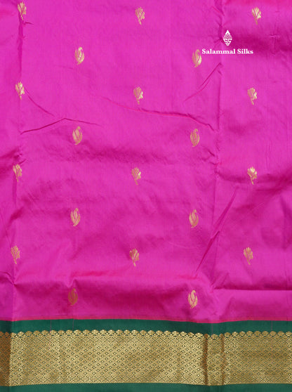 9.5 Yards Semi Silk Saree Vadamalli with Contrast Bottle Green Border