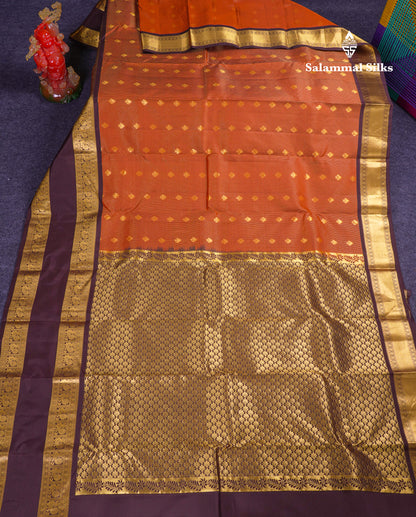 Beautiful Rust Orange Puremix Silk Saree With Contrast Dark Brown Traditional Rettapet Evening Morning Border