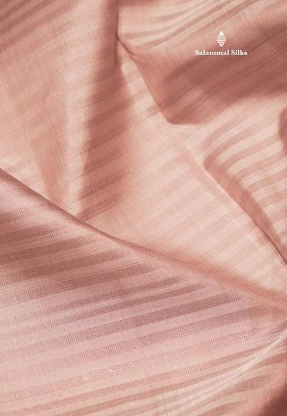Light Chocolate Colour Pure Kanjivaram Silk Saree With Contrast Violet Small Border