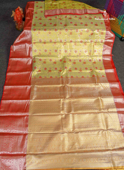 Tissue Semi Silk Saree - Pista Green Colour Body With Contrast Red Evening Morning Border