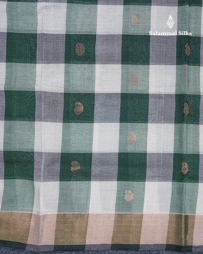 Beautiful Paalum Pazham Checks Handloom Pure Silk Cotton Saree With Tissue Border