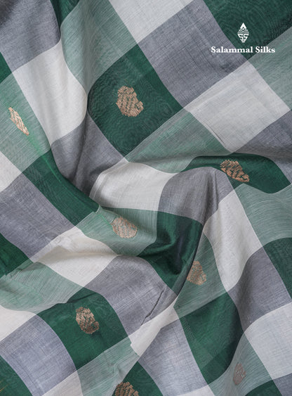 Beautiful Paalum Pazham Checks Handloom Pure Silk Cotton Saree With Tissue Border