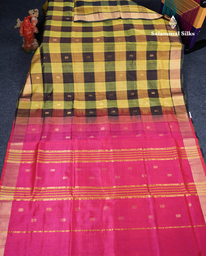 Beautiful Paalum Pazham Checks Handloom Pure Silk Cotton Saree With Tissue Border