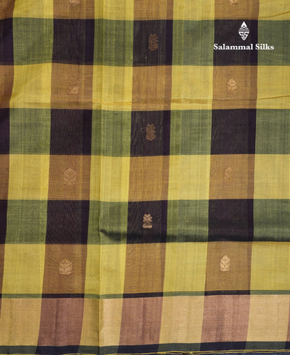 Beautiful Paalum Pazham Checks Handloom Pure Silk Cotton Saree With Tissue Border