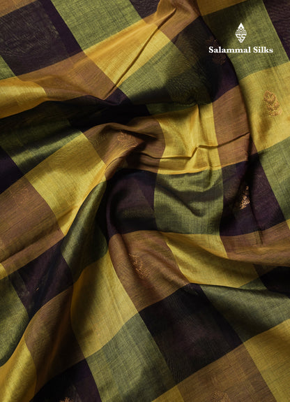 Beautiful Paalum Pazham Checks Handloom Pure Silk Cotton Saree With Tissue Border