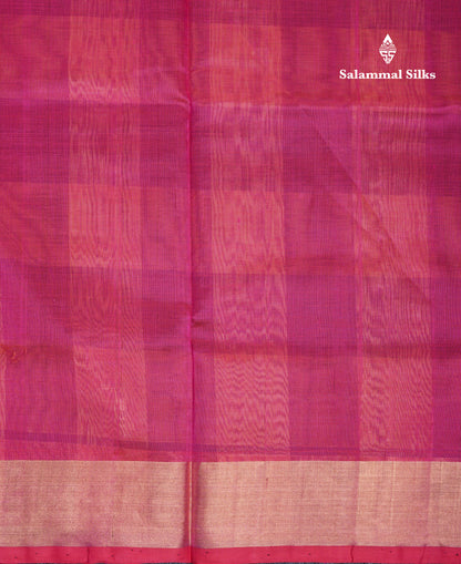 Beautiful Paalum Pazham Checks Handloom Pure Silk Cotton Saree With Tissue Border