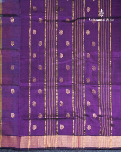 Beautiful Paalum Pazham Checks Handloom Pure Silk Cotton Saree With Tissue Border