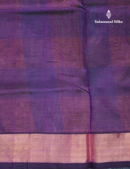 Beautiful Paalum Pazham Checks Handloom Pure Silk Cotton Saree With Tissue Border