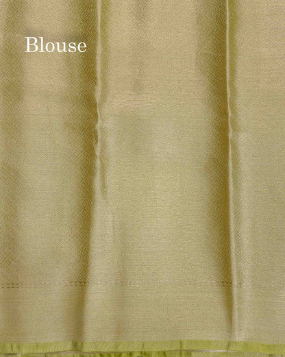Tissue Saree - Parrot Green Colour Body With Blouse