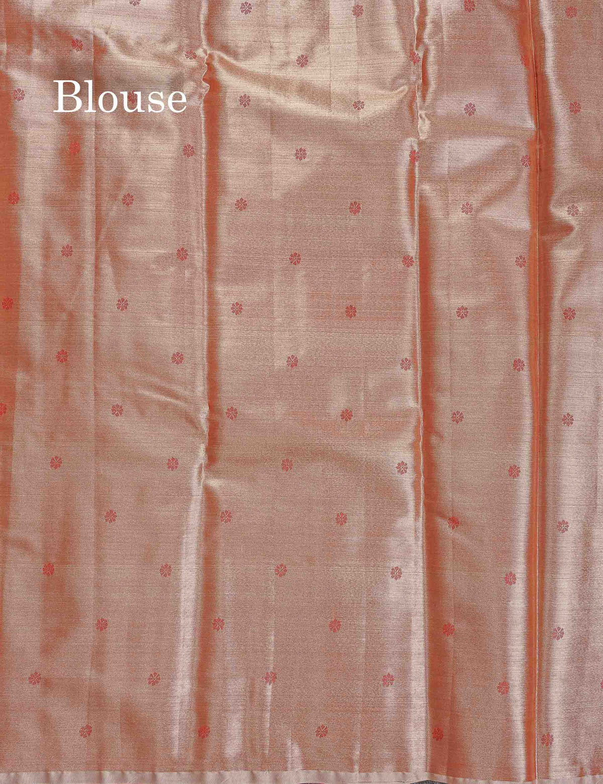 Tissue Semi Silk Saree - Sea Green Colour Body With Contrast Light Brown Fancy Border