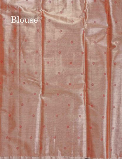 Tissue Semi Silk Saree - Sea Green Colour Body With Contrast Light Brown Fancy Border