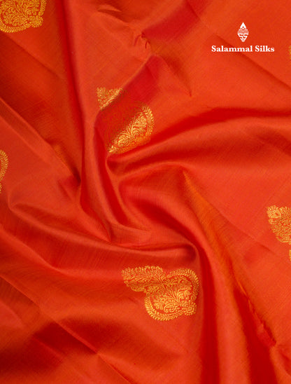 Koravi Rust Orange Pure Kanjivaram Silk Saree With Contrast Navy Blue Traditional Evening Morning Border