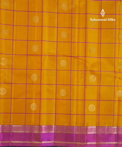 Beautiful Rexona Green Checks With Butta Pure Kanjivaram Silk Saree With Contrast Purple Traditional Medium Gap Border