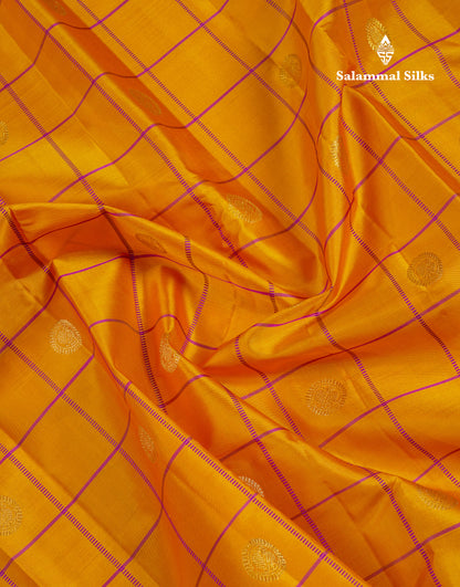 Beautiful Rexona Green Checks With Butta Pure Kanjivaram Silk Saree With Contrast Purple Traditional Medium Gap Border