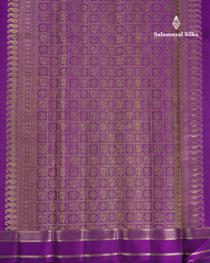 Beautiful Rexona Green Checks With Butta Pure Kanjivaram Silk Saree With Contrast Purple Traditional Medium Gap Border