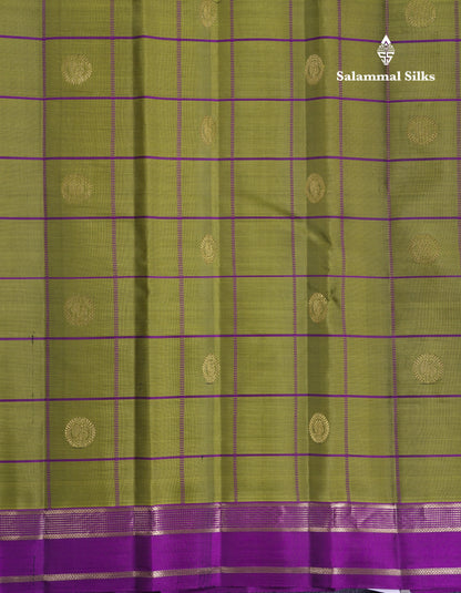 Beautiful Rexona Green Checks With Butta Pure Kanjivaram Silk Saree With Contrast Purple Traditional Medium Gap Border