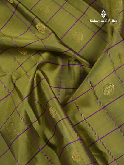 Beautiful Rexona Green Checks With Butta Pure Kanjivaram Silk Saree With Contrast Purple Traditional Medium Gap Border