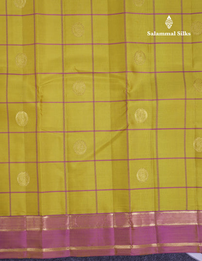 Beautiful Rexona Green Checks With Butta Pure Kanjivaram Silk Saree With Contrast Purple Traditional Medium Gap Border