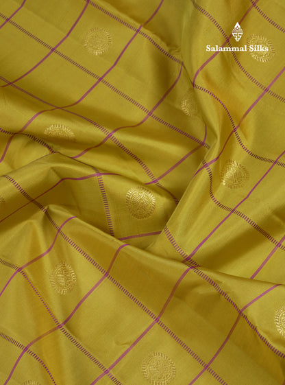 Beautiful Rexona Green Checks With Butta Pure Kanjivaram Silk Saree With Contrast Purple Traditional Medium Gap Border