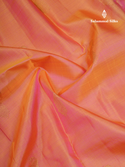 Koravi Dual Tone Peach Orange Pure Kanjivaram Silk Saree With Contrast Navy Blue Traditional Evening Morning Border