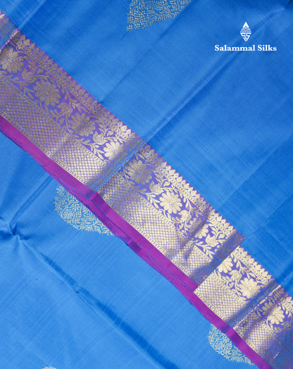Beautiful Blue Pure Kanjivaram Silk Saree With Contrast Purple Traditional Evening Morning Border