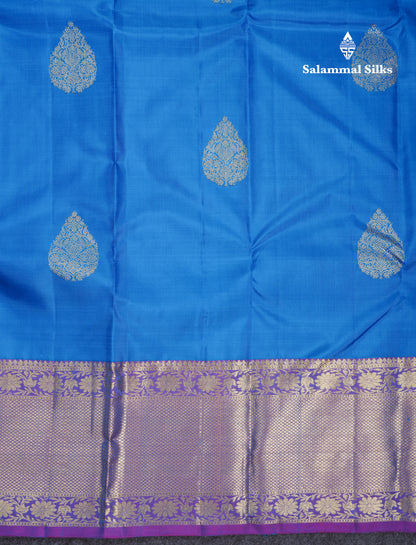 Beautiful Blue Pure Kanjivaram Silk Saree With Contrast Purple Traditional Evening Morning Border