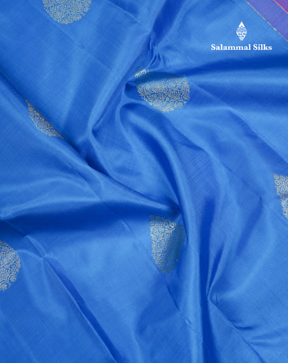 Beautiful Blue Pure Kanjivaram Silk Saree With Contrast Purple Traditional Evening Morning Border