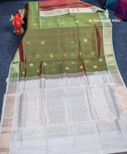 Dual Tone Green Pure Silk Cotton Saree With Contrast Beige Blouse