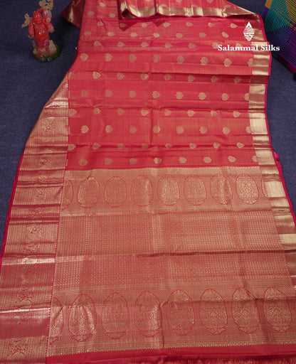 Beautiful Pink Vaira Oosi Lines Pure Kanjivaram Silk Saree With Traditional Evening Morning Border