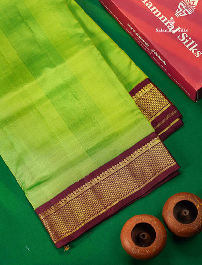 Korvai Beautiful Parrot Green 10 Yards Pure Silk Saree With (4.1 inch) Contrast Dark Brown Traditional Border