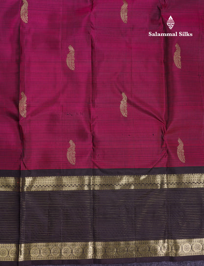 Beautiful Magenta Pure Kanjivaram Silk Saree With Contrast Dark Brown Traditional Border