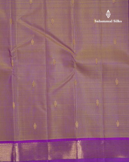Beautiful Dual Tone Brown Pure Kanjivaram Silk Saree With Contrast Dark Purple Traditional Samll Border