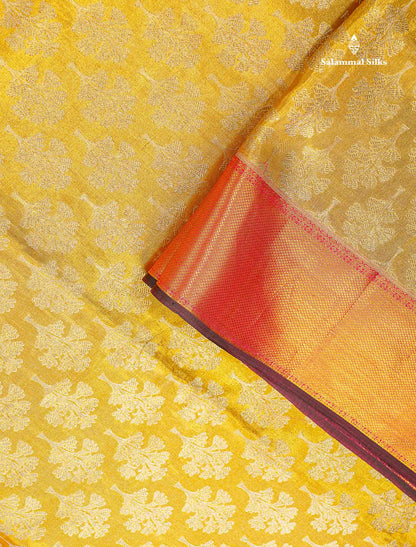 Bridal Pure Kanjivaram Silk Saree - Gold Colour Body Tissue With Pink Traditional Evening Morning Border