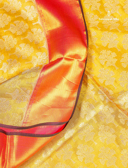 Bridal Pure Kanjivaram Silk Saree - Gold Colour Body Tissue With Pink Traditional Evening Morning Border