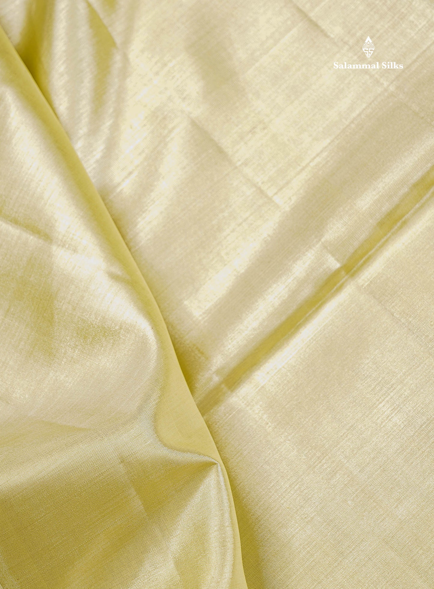 2G Zari Kanjivaram Silk Saree - Cream Gold Colour Body Plain With Traditional Evening Morning Border