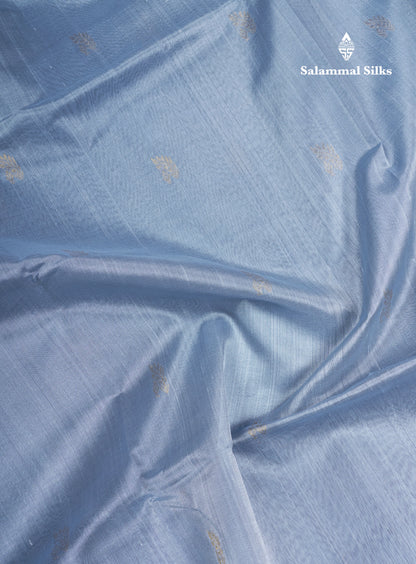 Blueish Grey Pure Silk Cotton Saree With Contrast Black Traditional Border