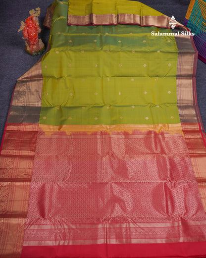 Beautiful Dual Tone Lavender Pure Kanjivaram Silk Saree With Contrast Pink Traditional Evening Morning Border